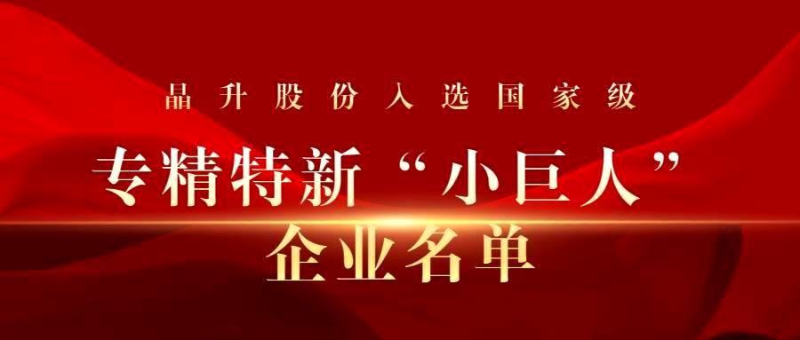 半岛ty股份入选国家级专精特新“小巨人”企业名单